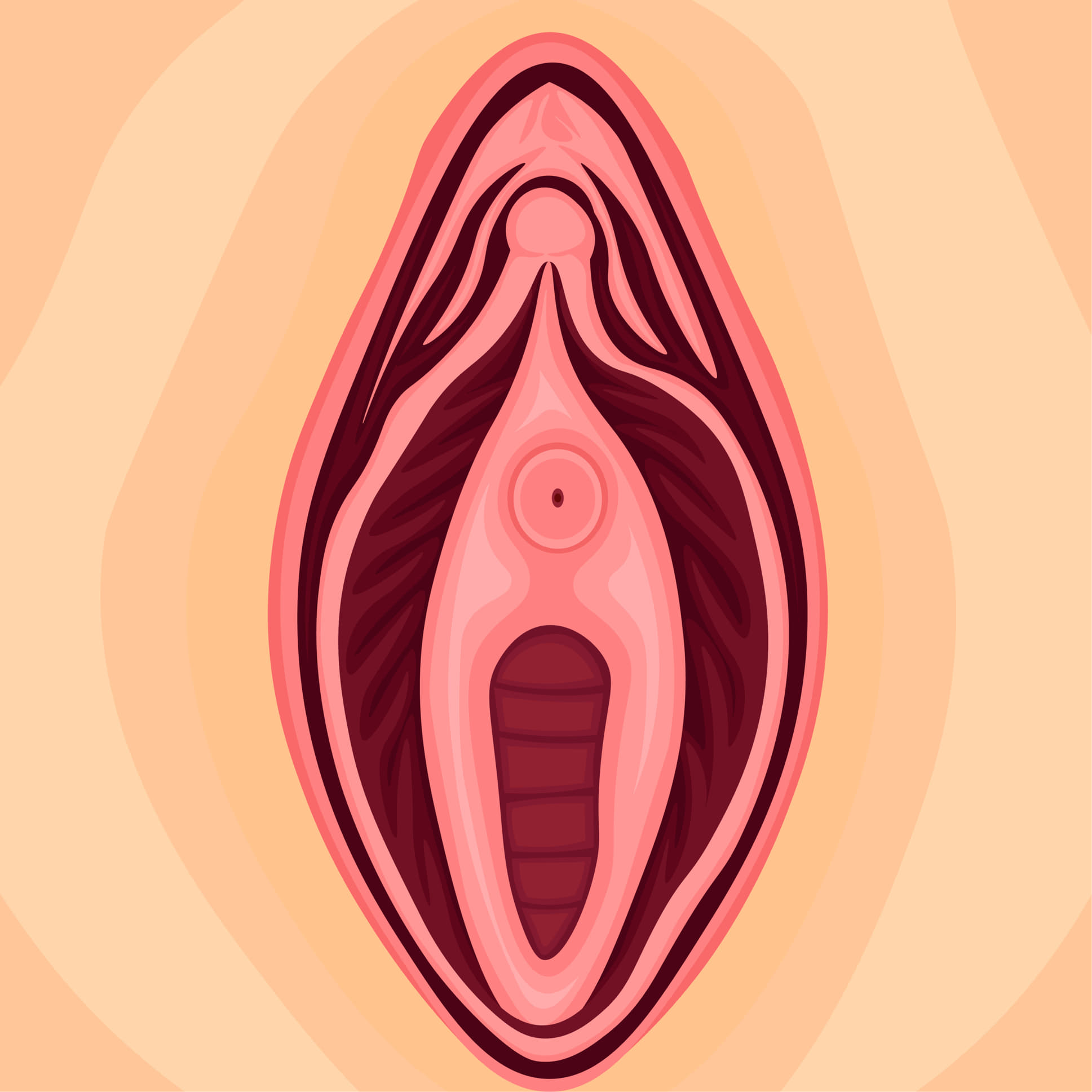 Vaginal Reconstruction in Ahmedabad by dr maulik shah