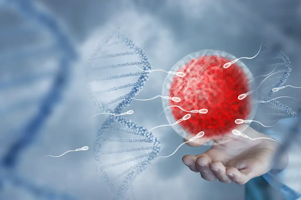 How to Improve Egg Quality for IVF Success in Ahmedabad