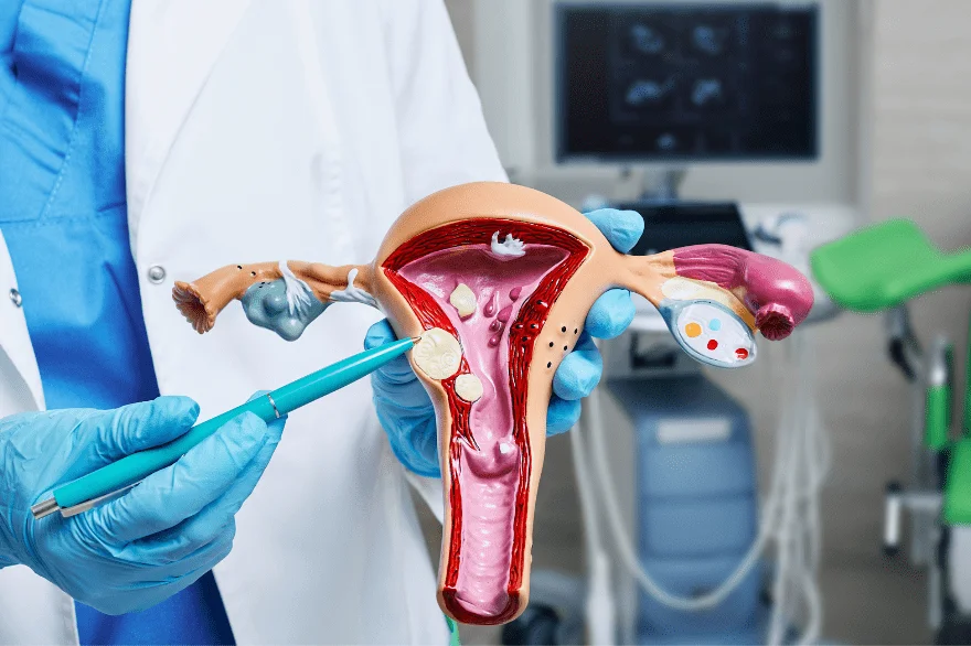 best gynaecologist in Ahmedabad