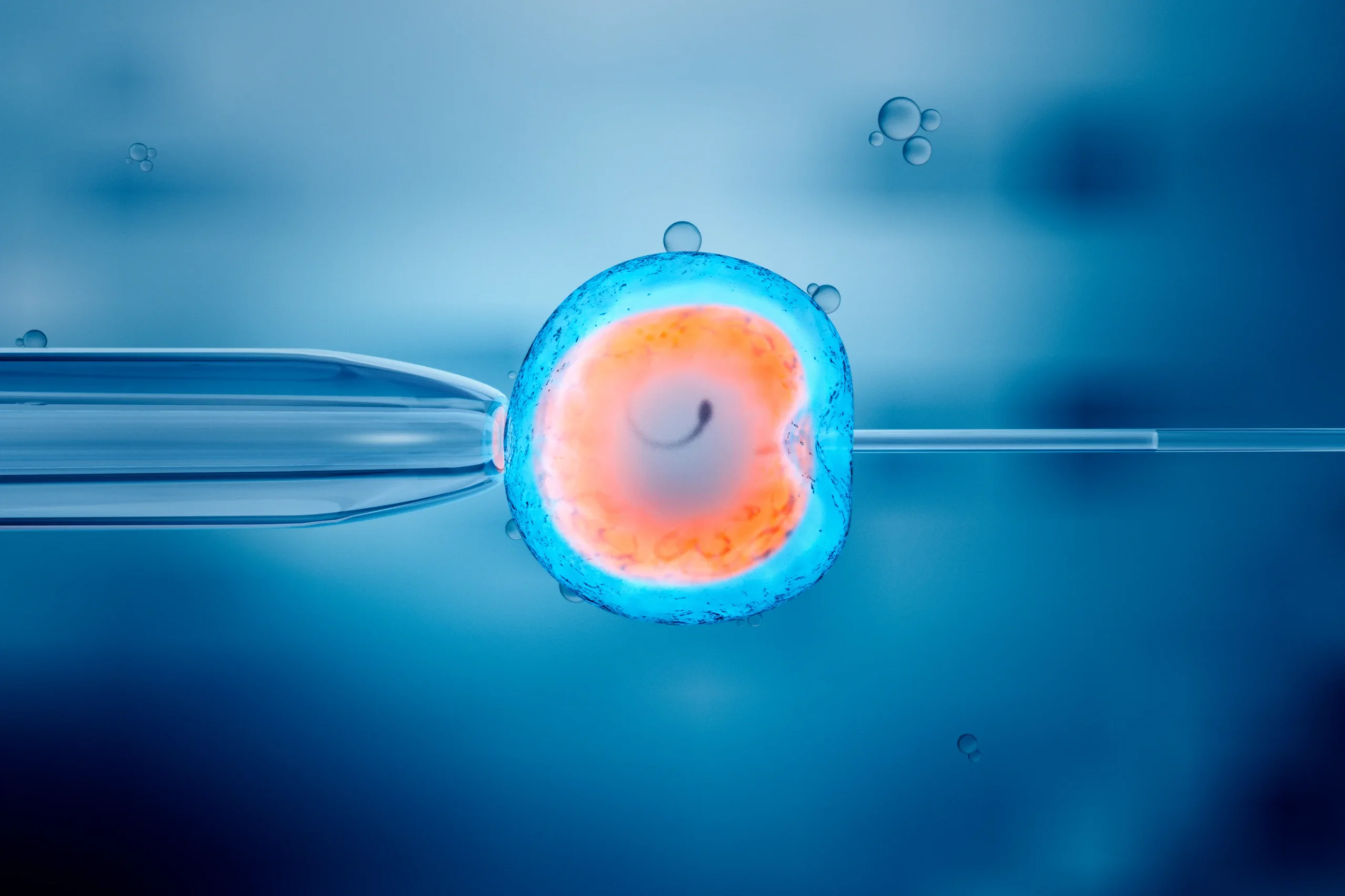 IVF Considered More Effective Than Other Fertility Treatments