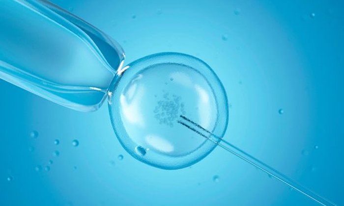What to Expect from the Best IVF Doctor in Ahmedabad A Comprehensive Guide